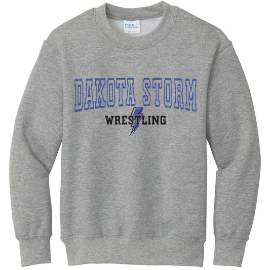 DSW- Lighting Crew Sweatshirt- Youth