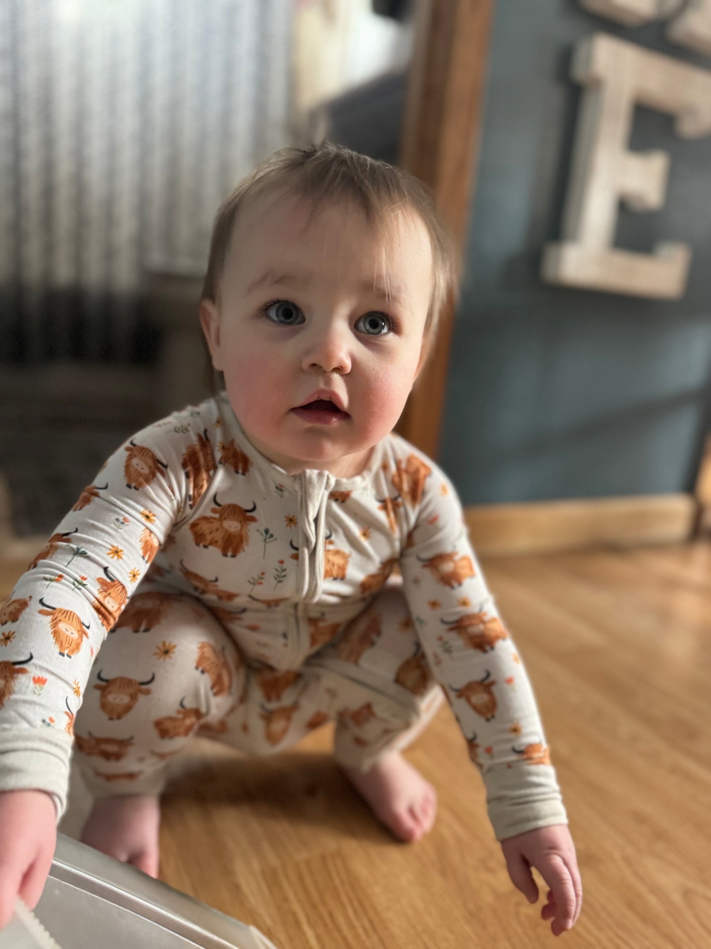 Highland Cutie Zippy